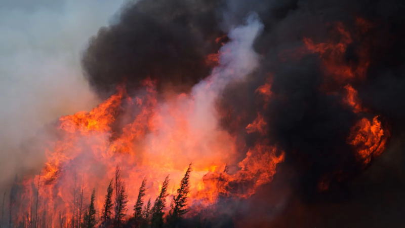 加拿大今年的野火季要温和得多，但已经开始造成影响