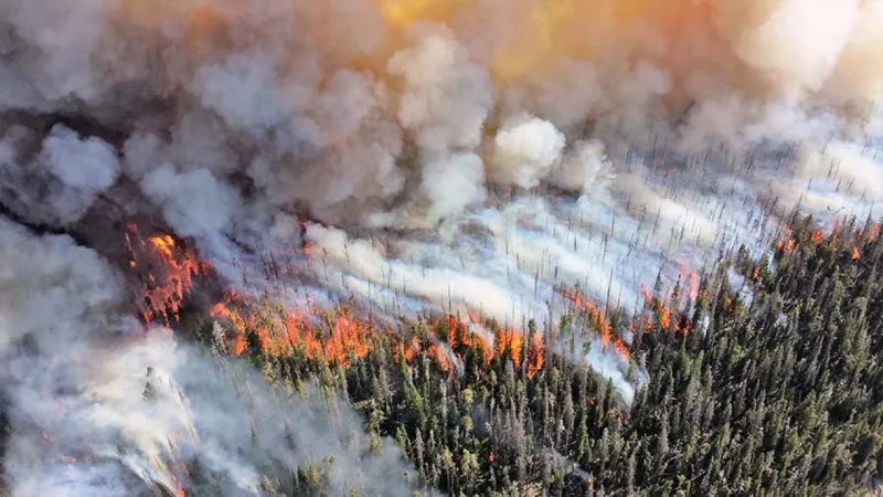 野火季监测：火灾增至170起，对38.8万桶/日油砂产量构成威胁