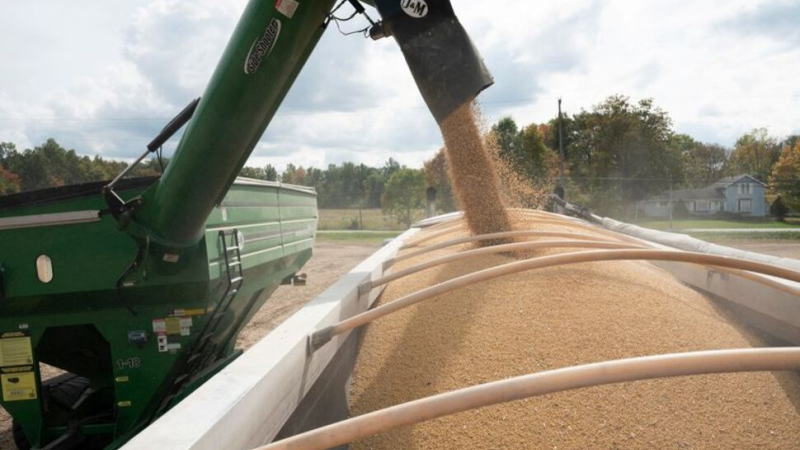 美国农民敦促政策制定者让农产品远离贸易战