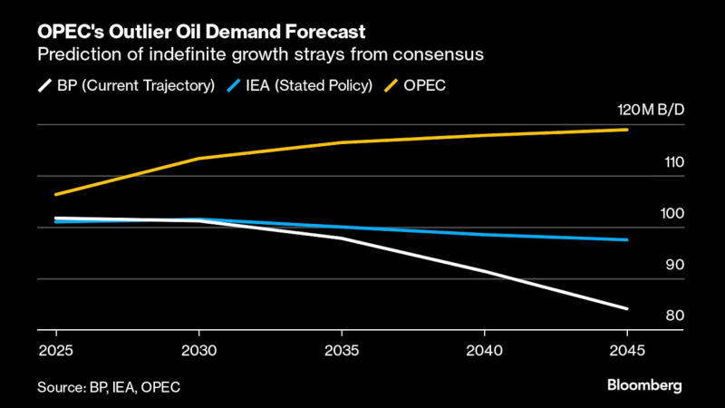 石油输出国组织(OPEC)世界石油展望(WOO 2024) - 金融市场核心数据 - 市场矩阵(MarketMatrix.net)