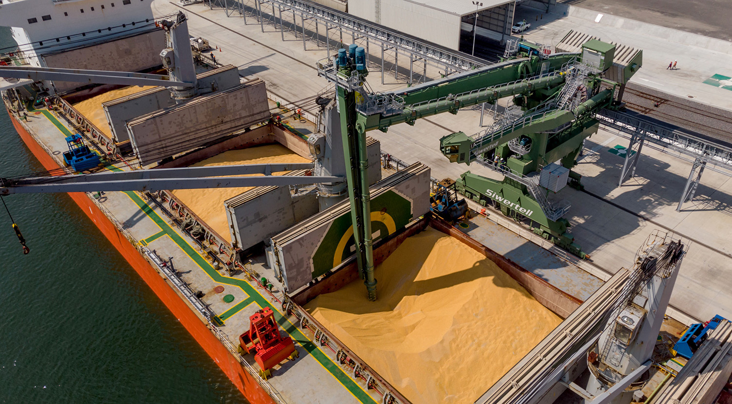 中国订购了首批美国大豆船货，比往常推迟了7个月