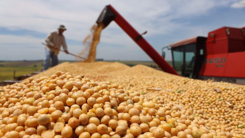 分析：雷亚尔暴跌推动巴西大豆出口飙升，或已构成大豆期货的主要下跌压力